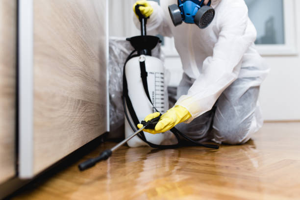 Best Mosquito Control Services  in Crete, IL