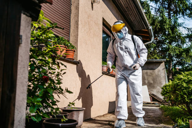 Best Exterminator Services  in Crete, IL