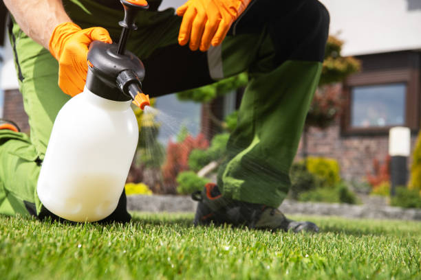 Wildlife Control Services in Crete, IL