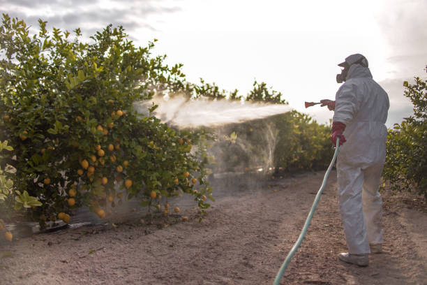 Best Pest Removal Services  in Crete, IL