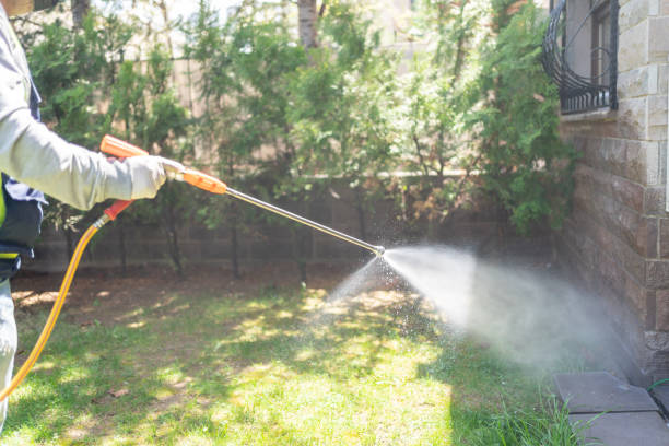 Best Wasp Removal Services  in Crete, IL