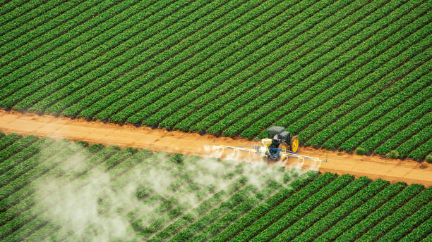 Best Best Pest Control Companies  in Crete, IL
