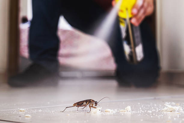 Best Emergency Pest Control  in Crete, IL