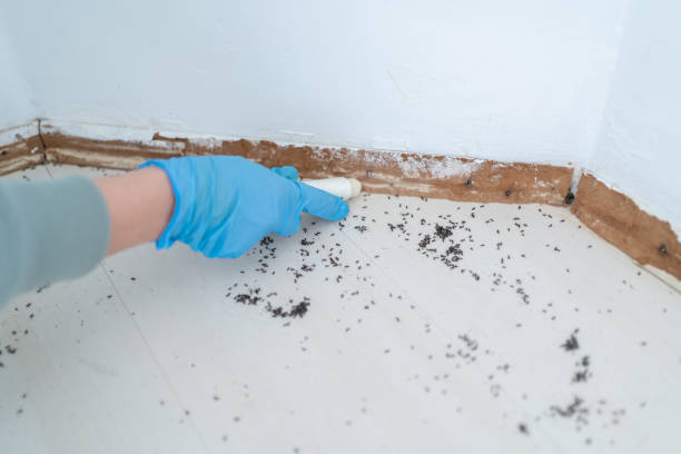  Crete, IL Pest Control Pros