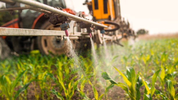Best Residential Pest Control  in Crete, IL