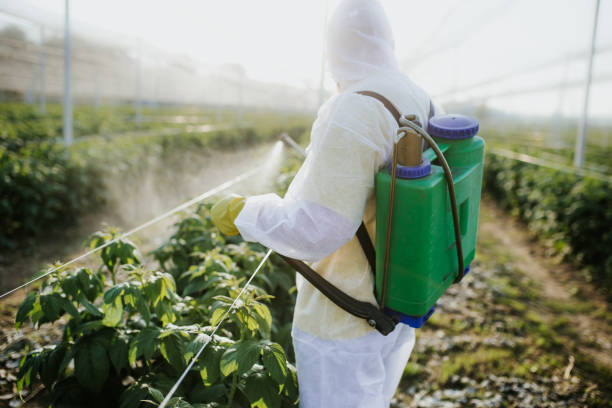 Best Best Pest Control Near Me  in Crete, IL